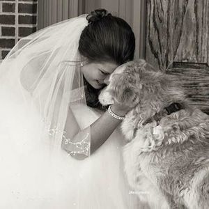 Meet your Posher, Delaney